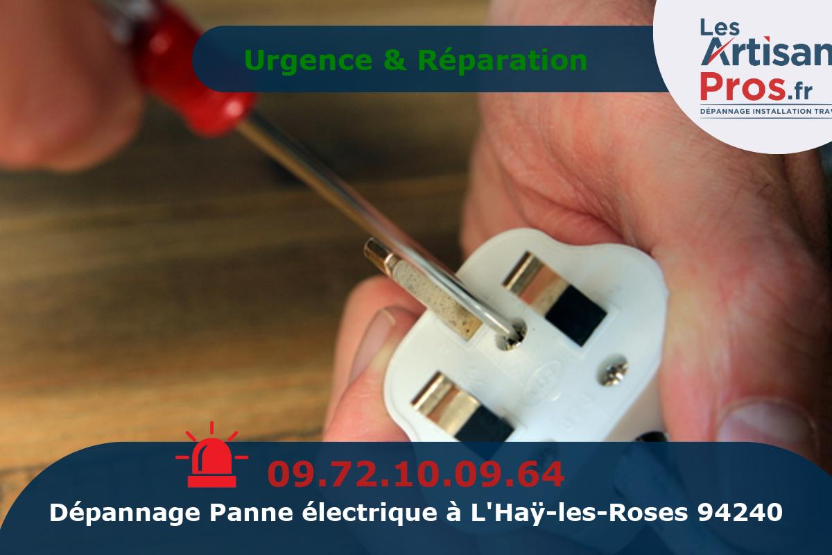 Dépannage Électrique L’Haÿ-les-Roses