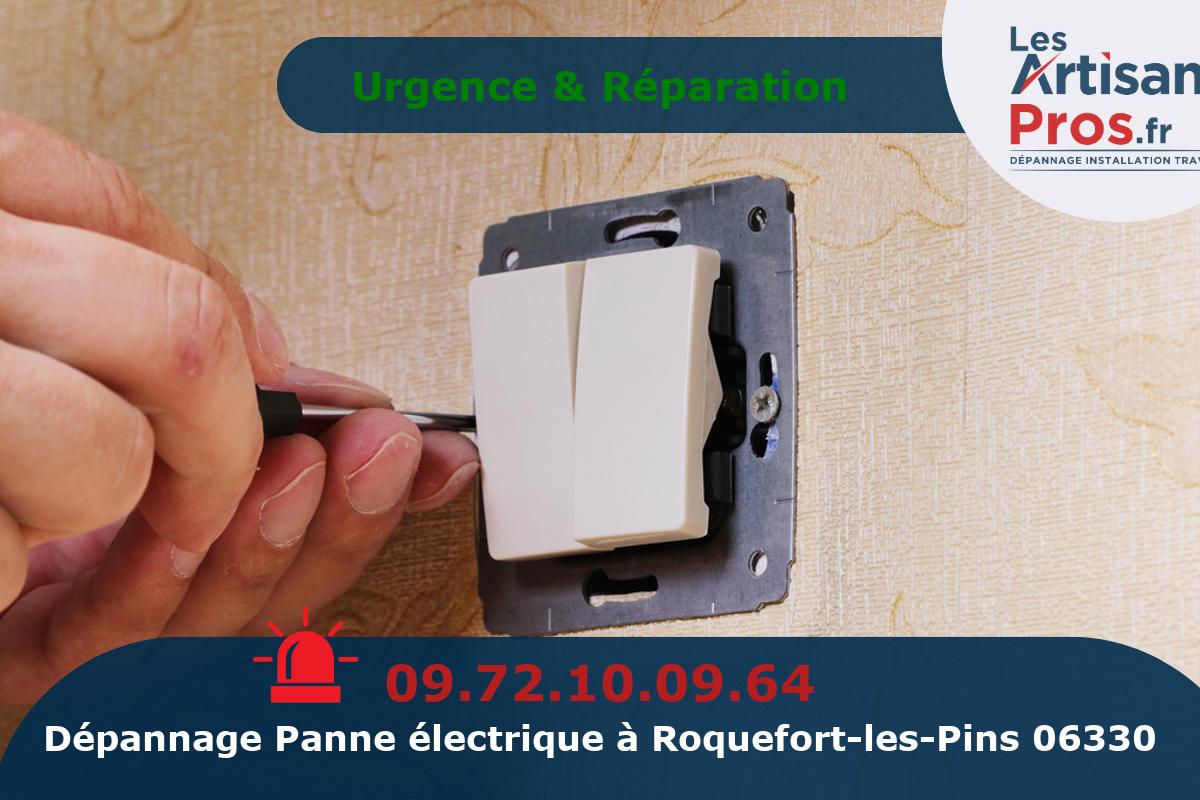 Dépannage Électrique Roquefort-les-Pins