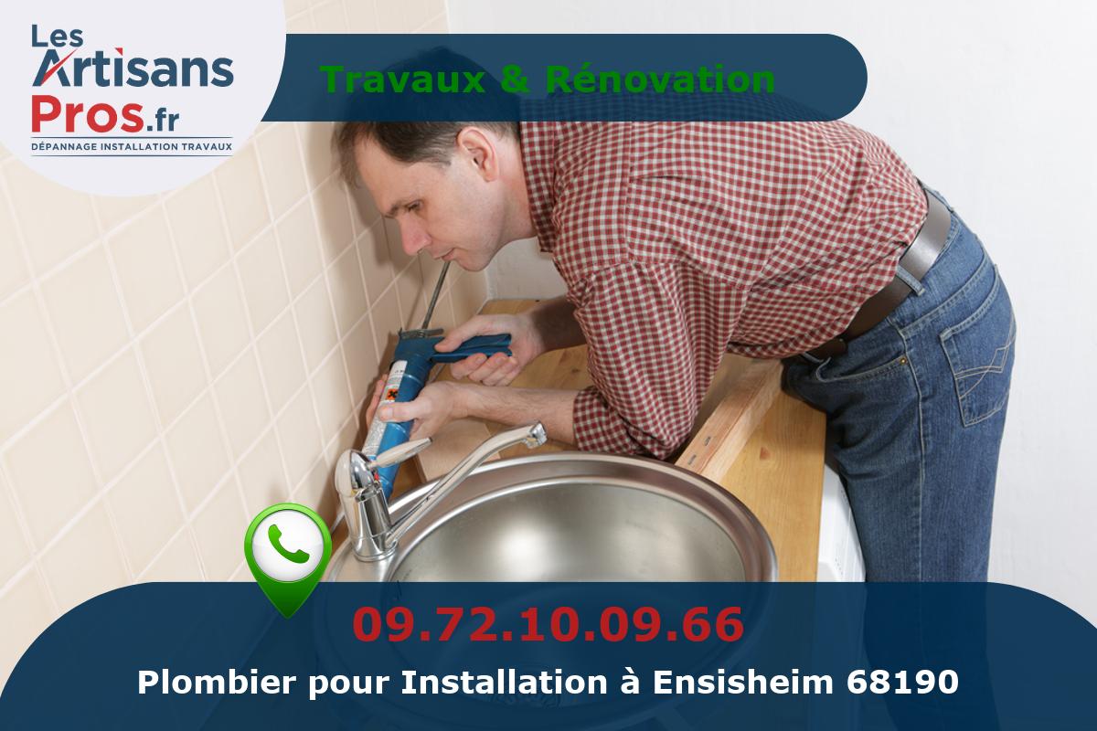 Installation de Plomberie Ensisheim