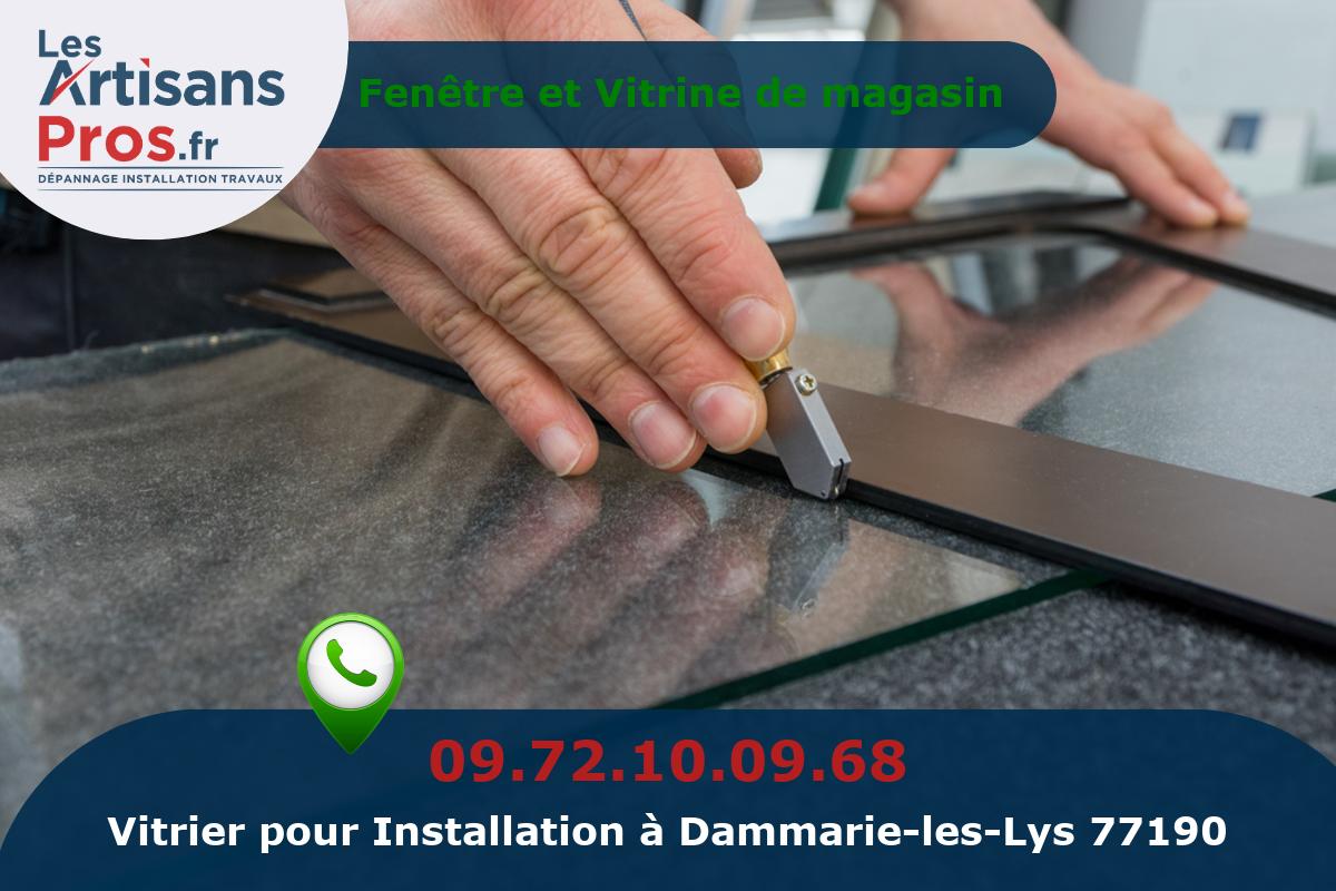 Installation de Vitrerie Dammarie-les-Lys