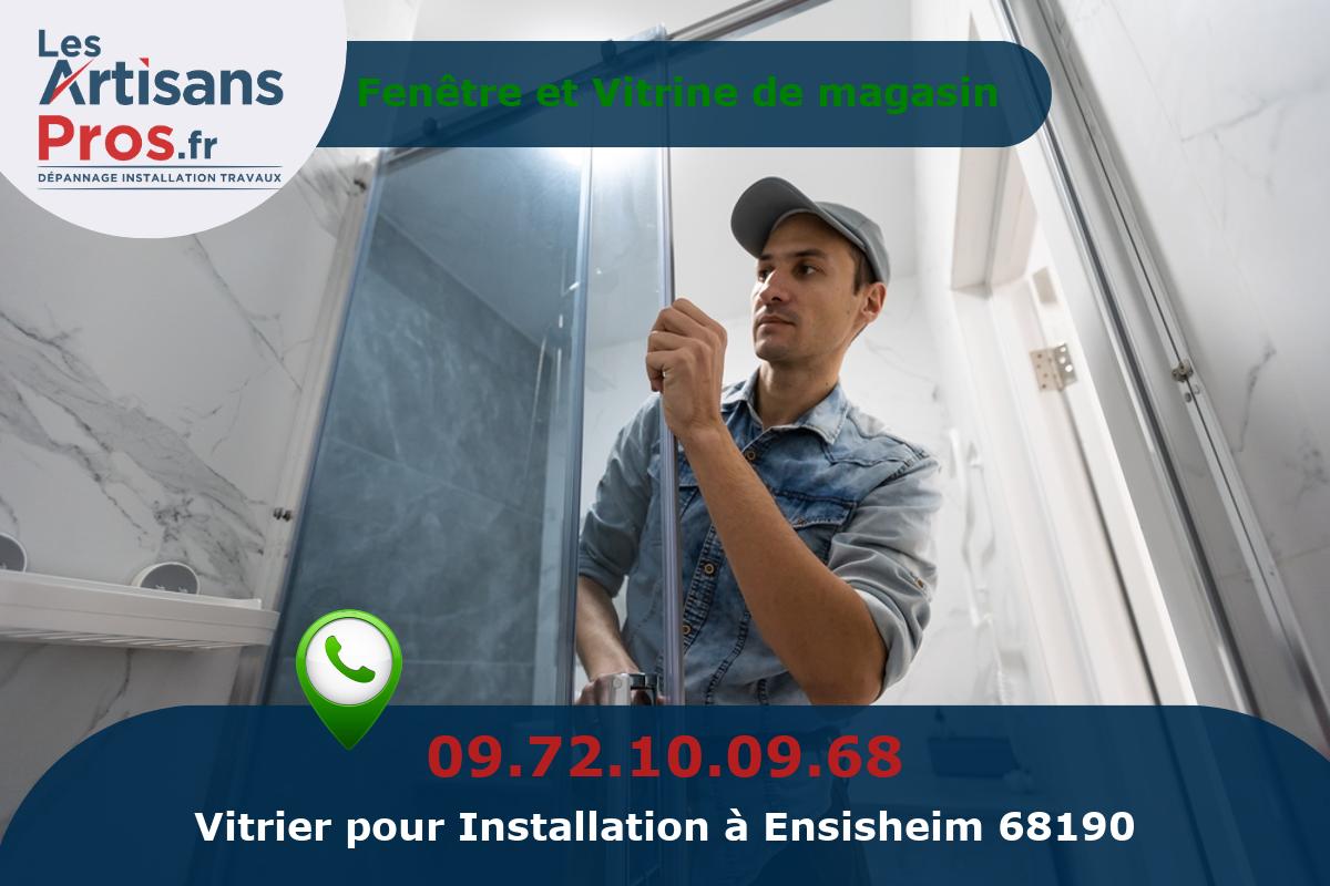 Installation de Vitrerie Ensisheim